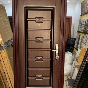Porte securite eco 2407  D 110/215 cm